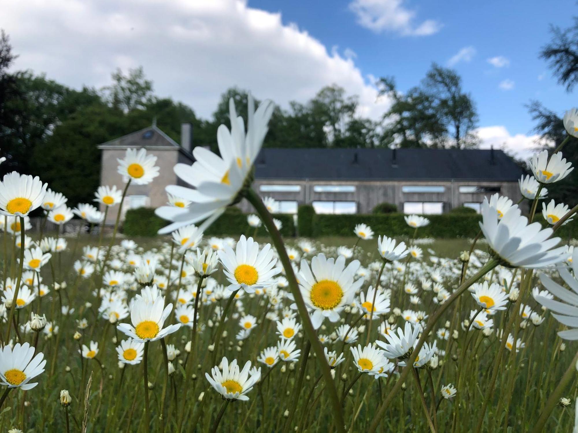 Domaine De L'Ardoisiere Alle Exterior foto