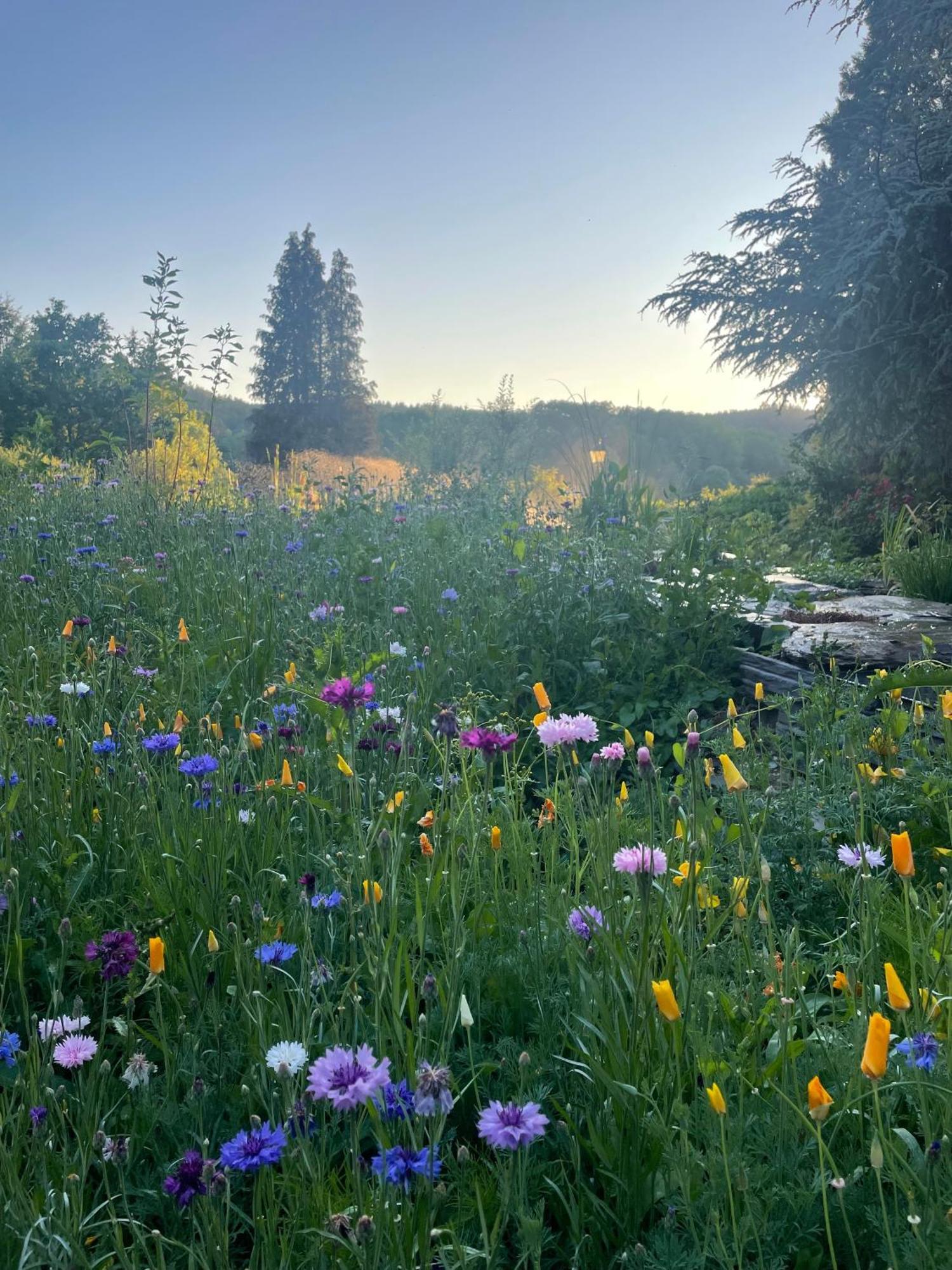 Domaine De L'Ardoisiere Alle Exterior foto